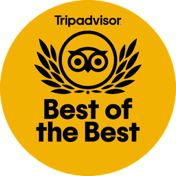 Trip award icon